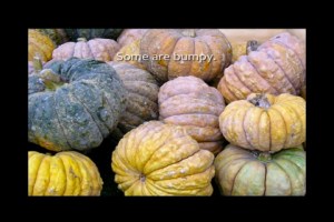 mzl.eyguvmiq.320x480-75